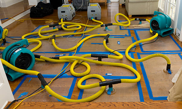 Professional Sewage Cleanup technician working in Petersburg, WV